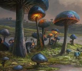 Игра Побег с грибных земель