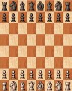 Игра Battle-Chess фото