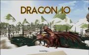 Игра Dragon IO фото