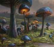 Игра Побег с грибных земель фото