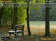 Игра Лес деревянных скамеек фото