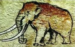 Аватар Elephant