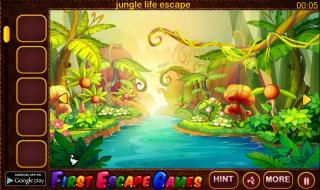 Игра Fantasy Jungle Boy Escape