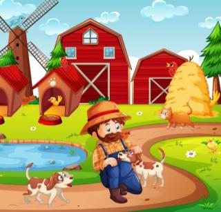 Игра Скрытые птицы фото