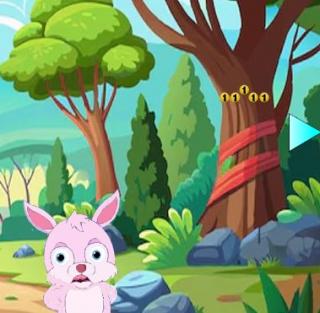 Игра Кролики ищут источник воды фото