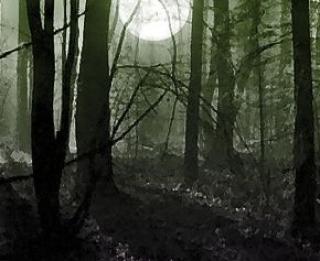 Игра Побег из вампирского леса