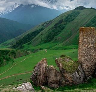 Игра Разбудите вялую панду фото