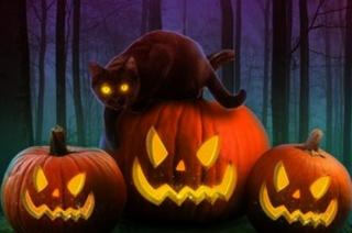Игра Хеллоуинский лес кошек 22
