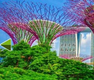 Игра Побег из садов Сингапура