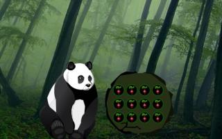 Игра Побег детенышей панды