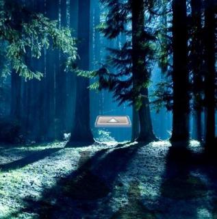Игра Побег из страшного ночного леса фото