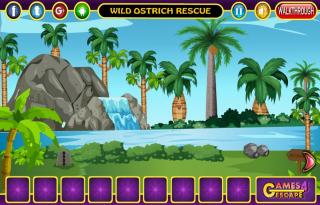Игра Wild Ostrich Rescue