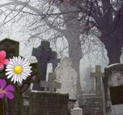 Игра Страшное готическое кладбище фото