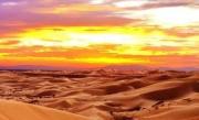 Игра Побег фенека из пустыни фото