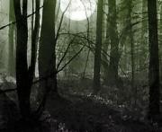Игра Побег из вампирского леса фото