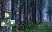 Игра Побег на закате из мистического леса фото