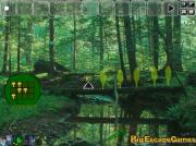 Игра Big Forest Land Escape фото