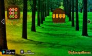 Игра Побег из Шервудского леса фото