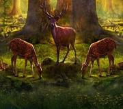 Игра Удивительный лес оленей фото
