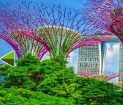 Игра Побег из садов Сингапура фото