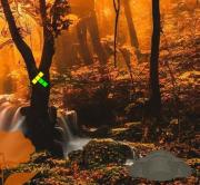 Игра Оккультный осенний лес фото