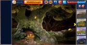 Игра Forest Cave House Escape фото