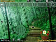 Игра Bamboo Forest Panda Rescue фото